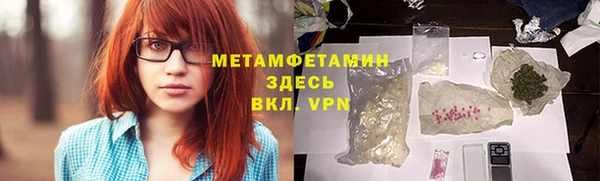 прущие грибы Белокуриха