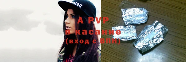 прущие грибы Белокуриха
