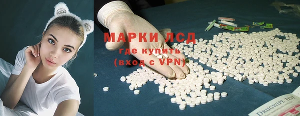 прущие грибы Белокуриха
