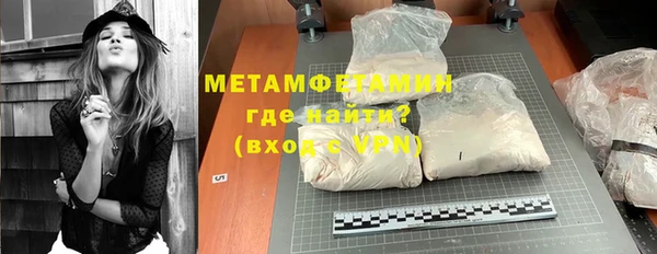 прущие грибы Белокуриха
