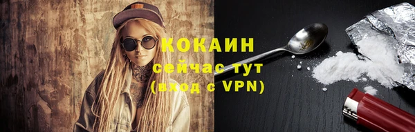 прущие грибы Белокуриха